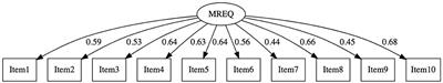 Psychometric validation of the internet related experiences questionnaire and mobile related experiences questionnaire among Ecuadorian teenagers